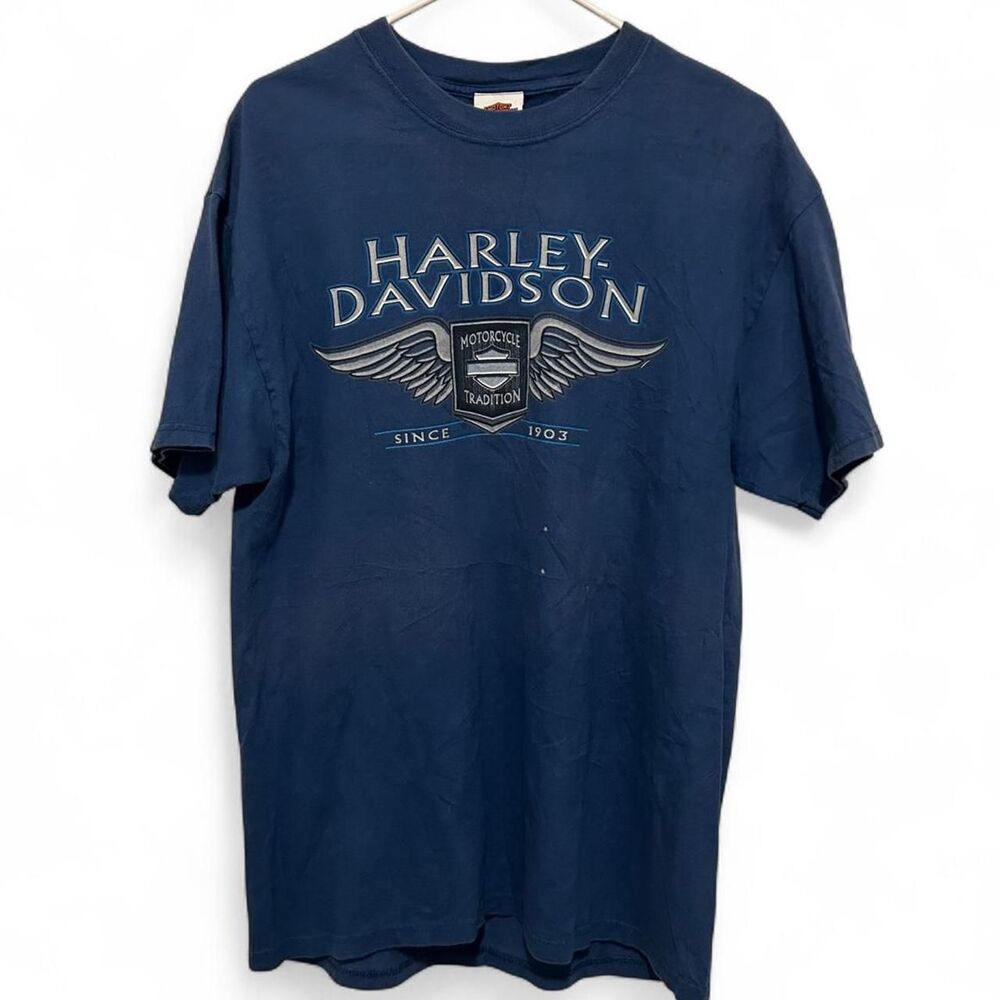 Harley-davidson Men's Blue and Navy T-shirt